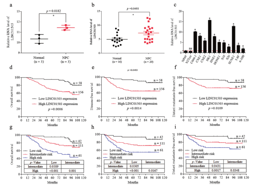 鼻咽癌.png 鼻咽癌.png