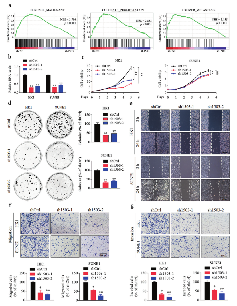 1633750458218325.png 1633750458218325.png