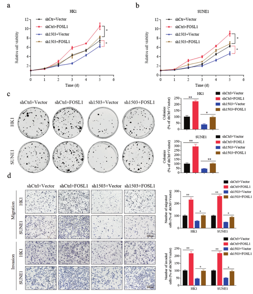 1633750575350053.png 1633750575350053.png