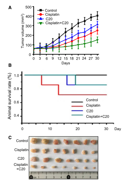 慢病毒包裝實(shí)驗(yàn)-客戶文獻(xiàn)-輝駿生物.png 慢病毒包裝實(shí)驗(yàn)-客戶文獻(xiàn)-輝駿生物.png