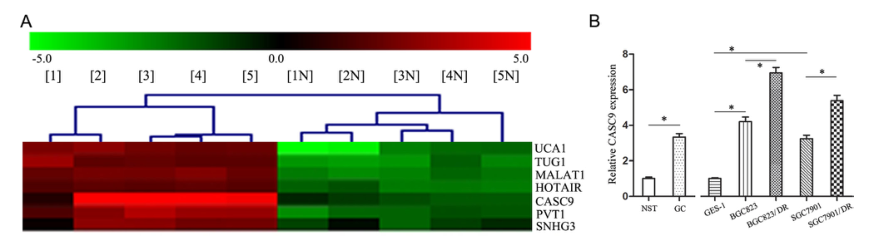 載體構(gòu)建實(shí)驗(yàn)-客戶文獻(xiàn)-輝駿生物.png 載體構(gòu)建實(shí)驗(yàn)-客戶文獻(xiàn)-輝駿生物.png