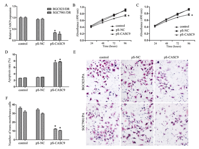 載體構(gòu)建實(shí)驗(yàn)-客戶文獻(xiàn)-輝駿生物.png 載體構(gòu)建實(shí)驗(yàn)-客戶文獻(xiàn)-輝駿生物.png