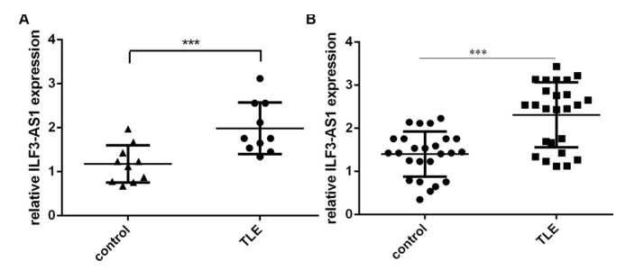 載體構(gòu)建服務(wù)-客戶文獻-輝駿生物.png 載體構(gòu)建服務(wù)-客戶文獻-輝駿生物.png