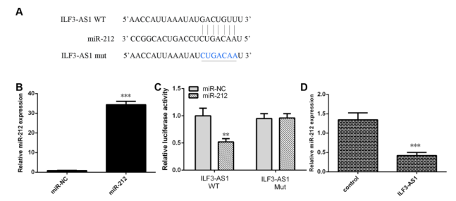 載體構(gòu)建服務(wù)-客戶文獻-輝駿生物.png 載體構(gòu)建服務(wù)-客戶文獻-輝駿生物.png