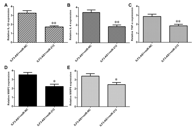 載體構(gòu)建服務(wù)-客戶文獻-輝駿生物.png 載體構(gòu)建服務(wù)-客戶文獻-輝駿生物.png