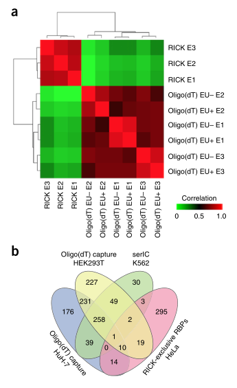 LC-MS/MS蛋白質(zhì)譜鑒定-客戶文獻(xiàn)-輝駿生物.png LC-MS/MS蛋白質(zhì)譜鑒定-客戶文獻(xiàn)-輝駿生物.png