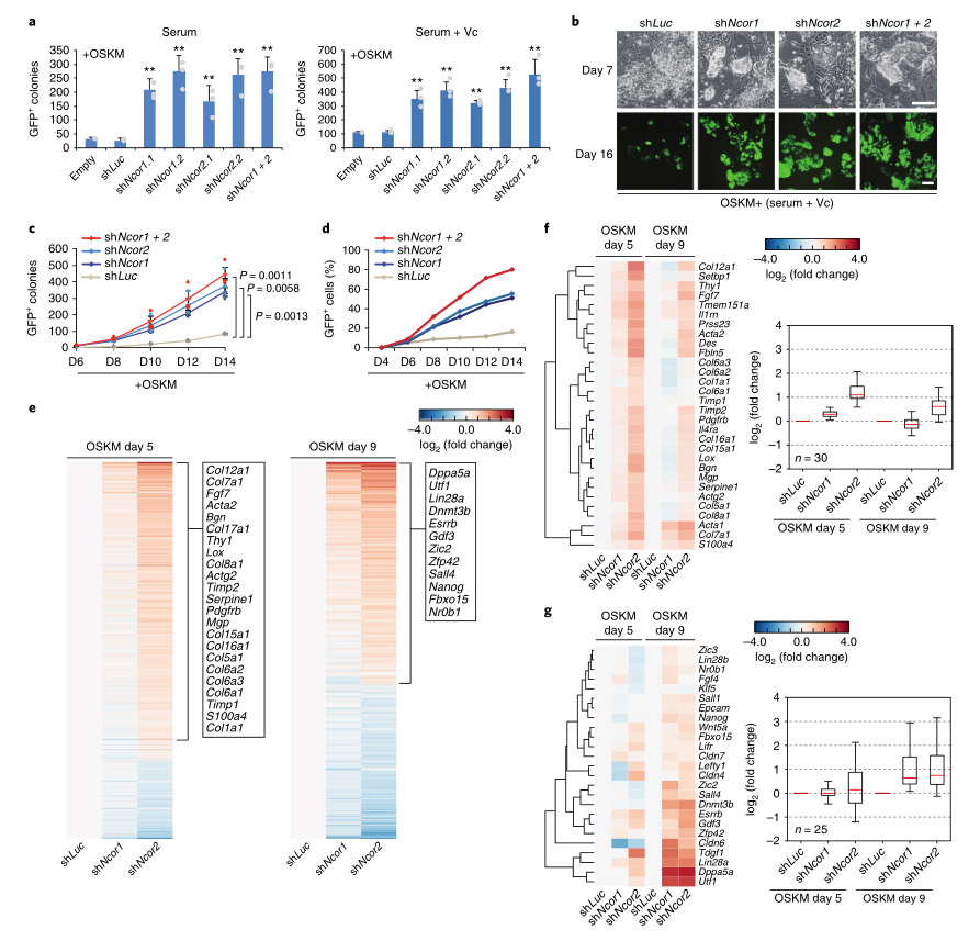 LC-MS/MS蛋白質(zhì)譜鑒定-客戶文獻(xiàn)-輝駿生物.png LC-MS/MS蛋白質(zhì)譜鑒定-客戶文獻(xiàn)-輝駿生物.png