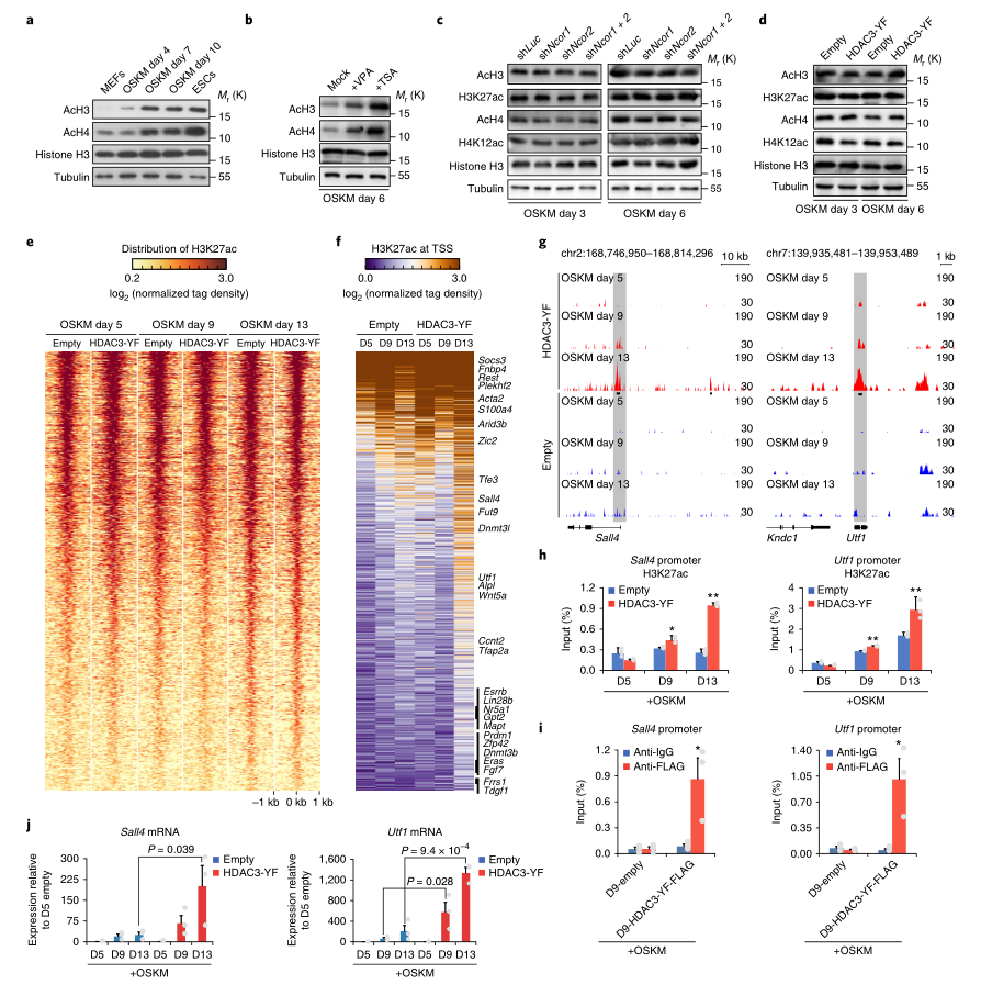 LC-MS/MS蛋白質(zhì)譜鑒定-客戶文獻(xiàn)-輝駿生物.png LC-MS/MS蛋白質(zhì)譜鑒定-客戶文獻(xiàn)-輝駿生物.png