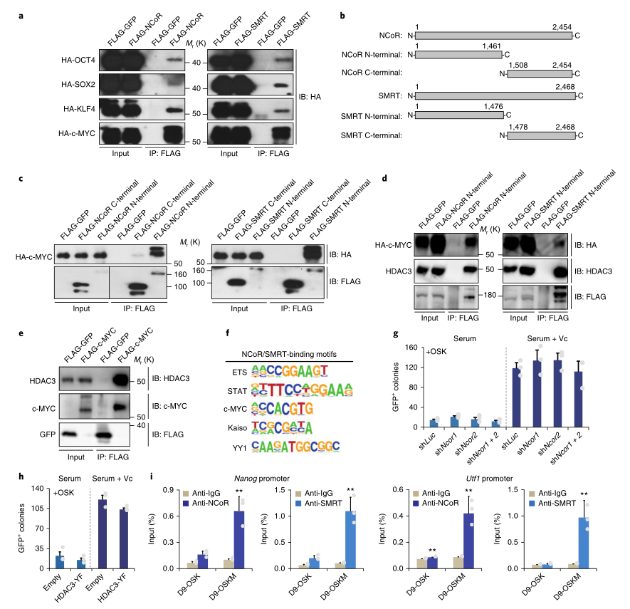 LC-MS/MS蛋白質(zhì)譜鑒定-客戶文獻(xiàn)-輝駿生物.png LC-MS/MS蛋白質(zhì)譜鑒定-客戶文獻(xiàn)-輝駿生物.png