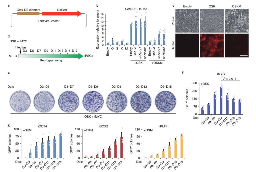 LC-MS/MS蛋白質(zhì)譜鑒定-客戶文獻(xiàn)-輝駿生物.png LC-MS/MS蛋白質(zhì)譜鑒定-客戶文獻(xiàn)-輝駿生物.png