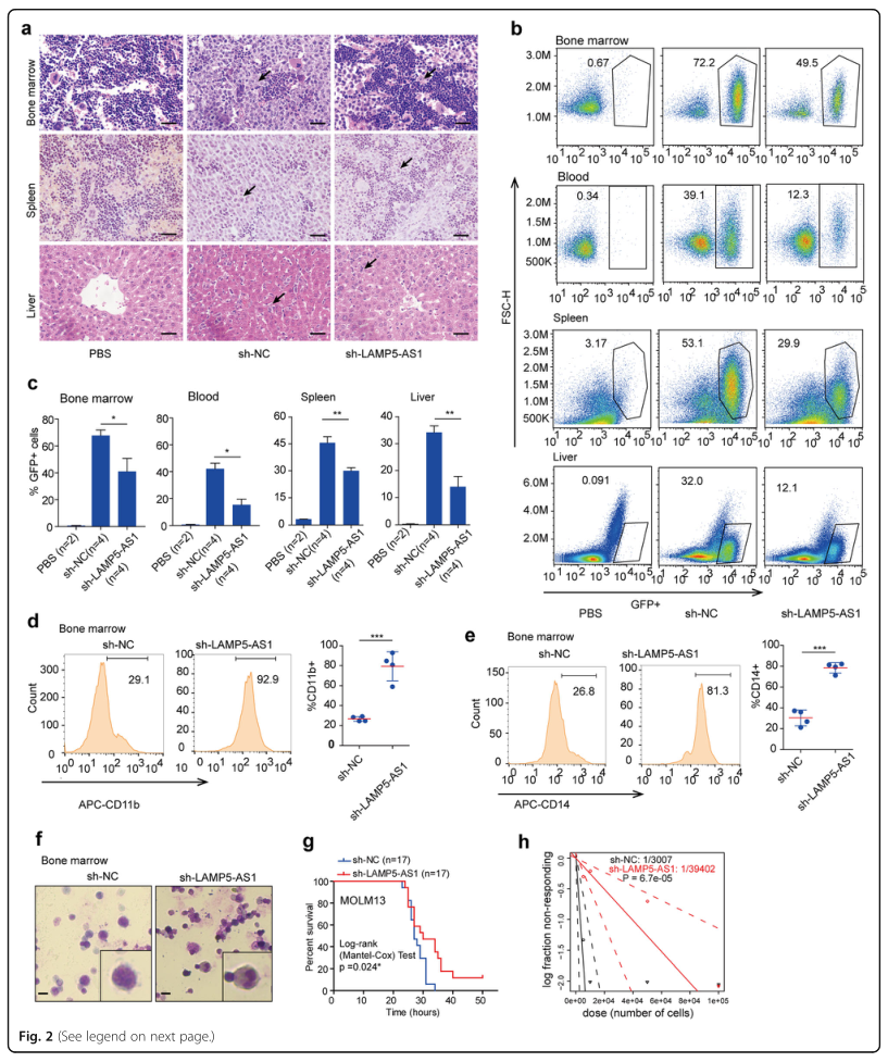 RNA pull down MS結(jié)合蛋白鑒定-客戶文獻(xiàn)-輝駿生物.png