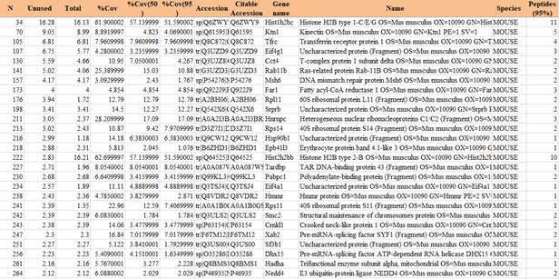 RNA pull-down實驗原理和步驟及結(jié)果分析