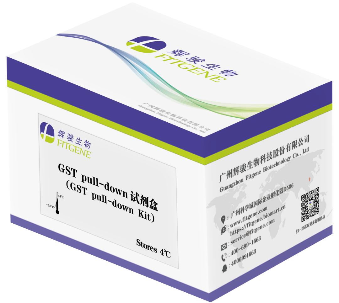 gst pulldown試劑盒-操作簡便-周期短-輝駿生物.png gst pulldown試劑盒-操作簡便-周期短-輝駿生物.png