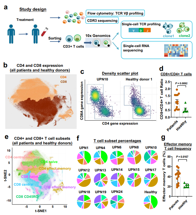 T-LGLL 患者的 AT 細(xì)胞景觀。