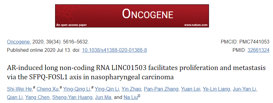 蛋白檢測和分析服務-LC-MS/MS蛋白質(zhì)譜鑒定實驗客戶文章-輝駿生物