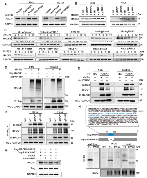 1684828743873028.png 圖片6.png