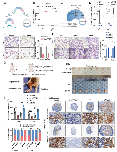 1684828855310646.png 圖片2.png