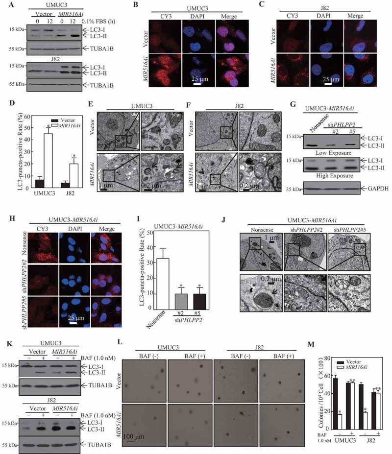 1686729294319640.jpg 1-3.jpg