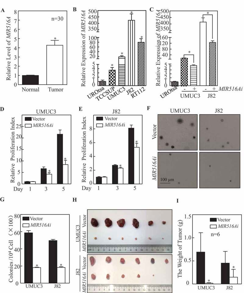 1686729476949883.jpg 1-1.jpg