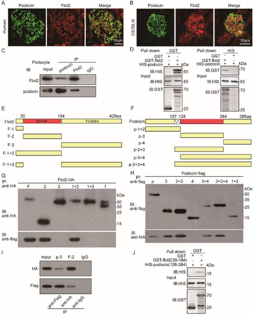 1687766076109412.png 圖片8.png