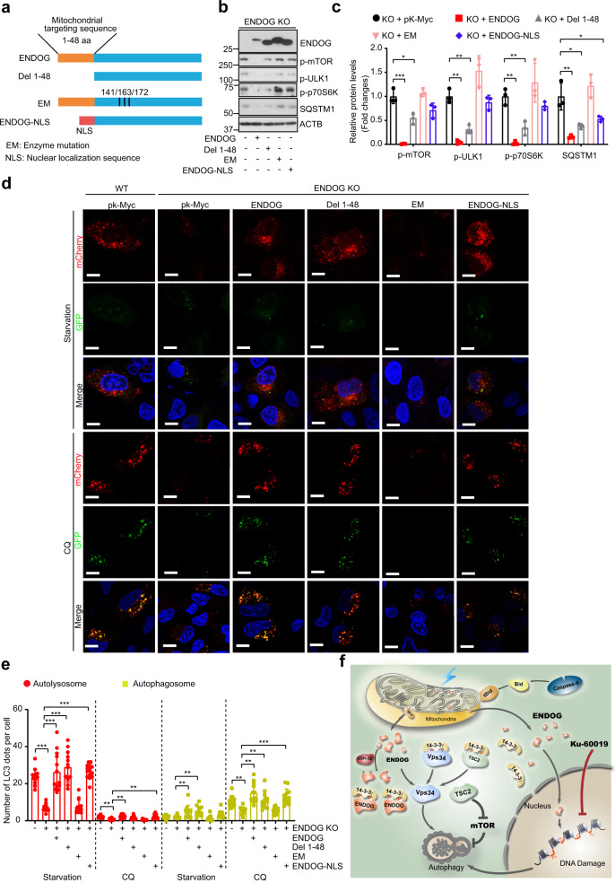 1690445221107243.jpg 1690445221107243.jpg