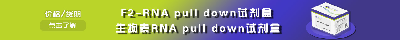 F2 RNA pulldown試劑盒/RNA pulldown試劑盒-強親和力/蛋白調(diào)取好-輝駿生物專業(yè)試劑盒供應(yīng)商