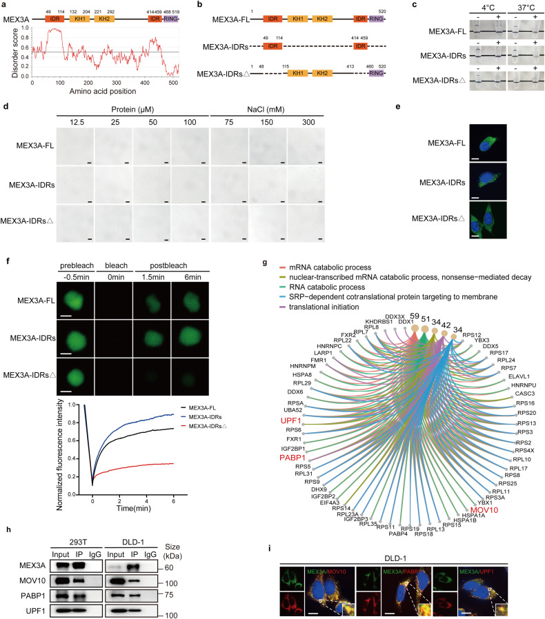 1721973563126913.jpg 1721973563126913.jpg