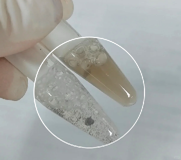 普通磁珠相互聚集結(jié)塊-輝駿生物納米抗體磁珠可有效解決聚團(tuán)現(xiàn)象